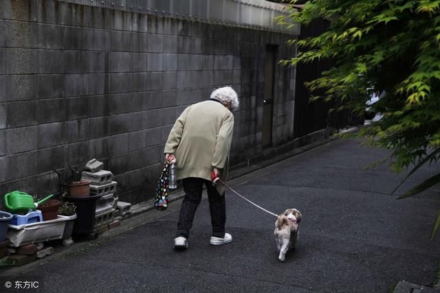 再这样下去，日本就灭亡了