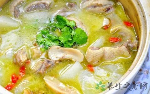 干松茸可以煲什么