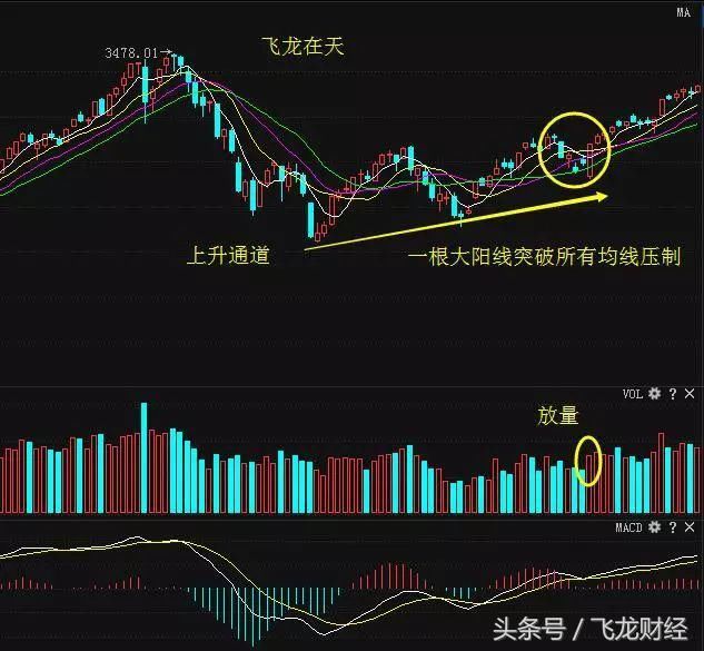 一旦出现飞龙在天信号,散户果断全仓,股票即