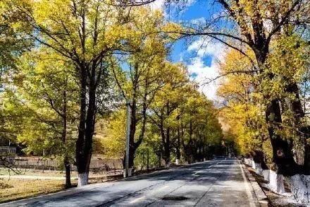 川藏线户外行攻略新都桥