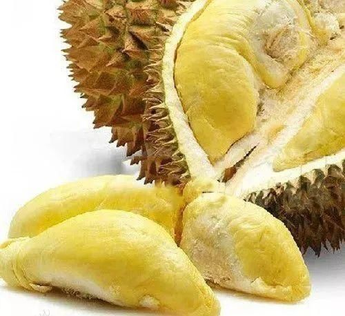 吃货狂点赞!这里的正宗猫山王现场免费吃