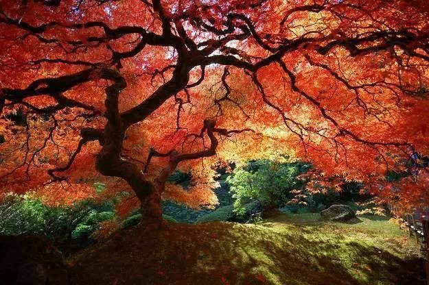 你去的地方只能叫美景,这30个地方才是人间仙境