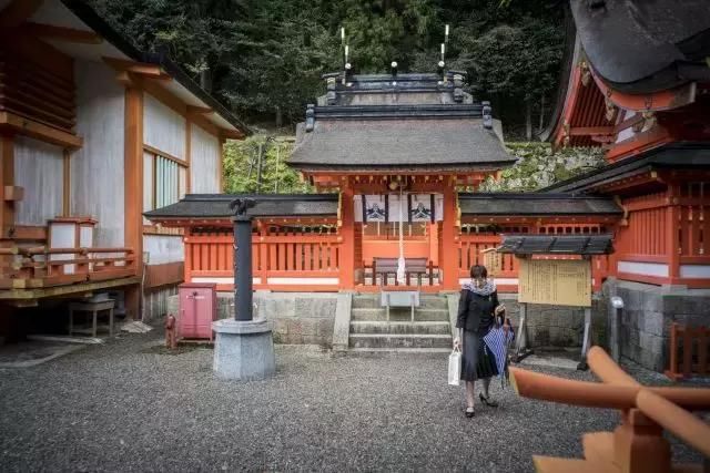 春天和旅行不可辜负，日本和歌山县来山东推介旅游