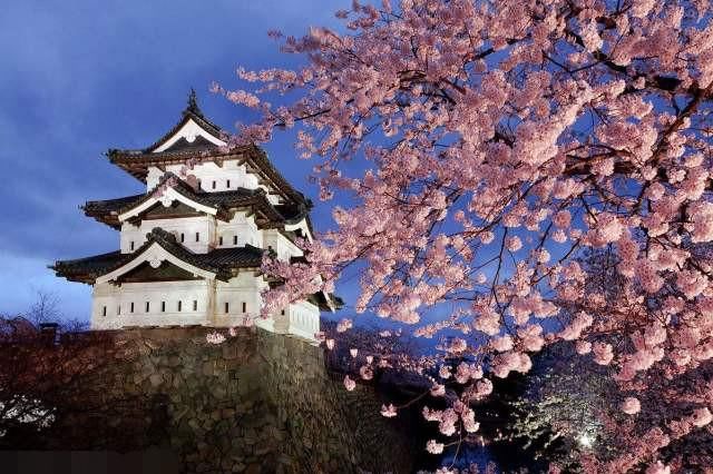 可以去日本旅游一次 很多地方还是值得我们学习