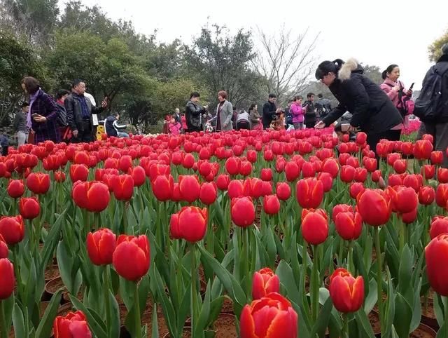 桂林春节又上央视了！这里美呆啦，你去了吗？