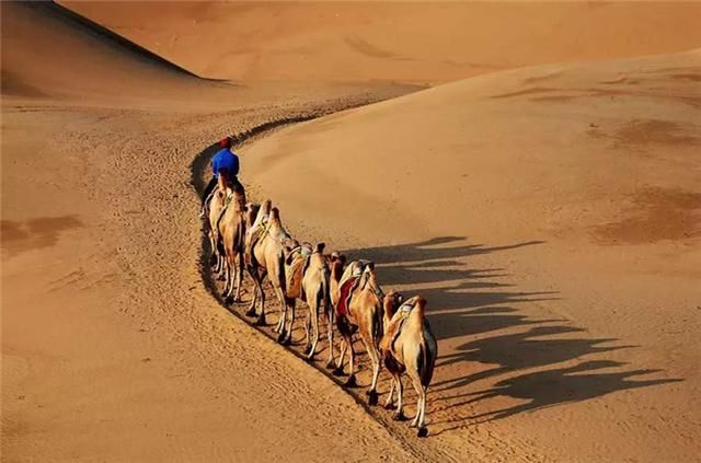 这世界许你一双脚,就请走出自己的精彩!