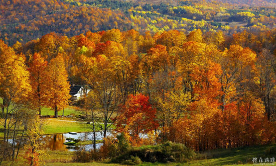 美国最穷的州是哪一个?人均GDP却达到33万