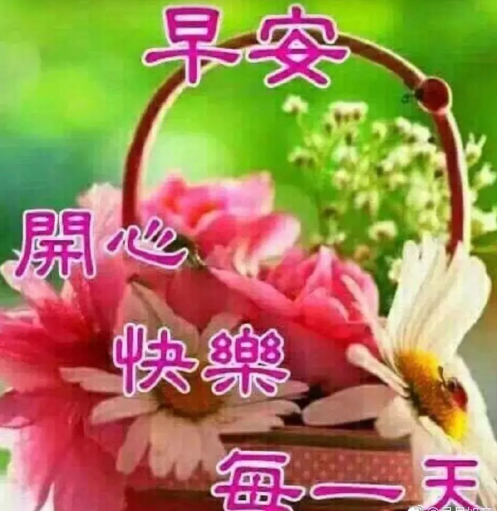 5月20日周一群发早上好问候祝福红包图片表情给表情包图动态点图片
