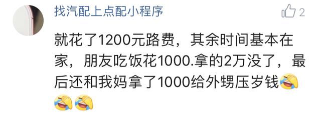 晒晒你春节过年花了多少钱？网友：回家路费1.8元你给我出来