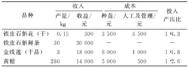 基金项目：“铁皮石斛+金线莲+黄精”的林下中药材立体套种模式