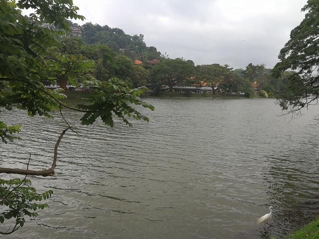 去大公司应试,是学历重要还是能力重要?