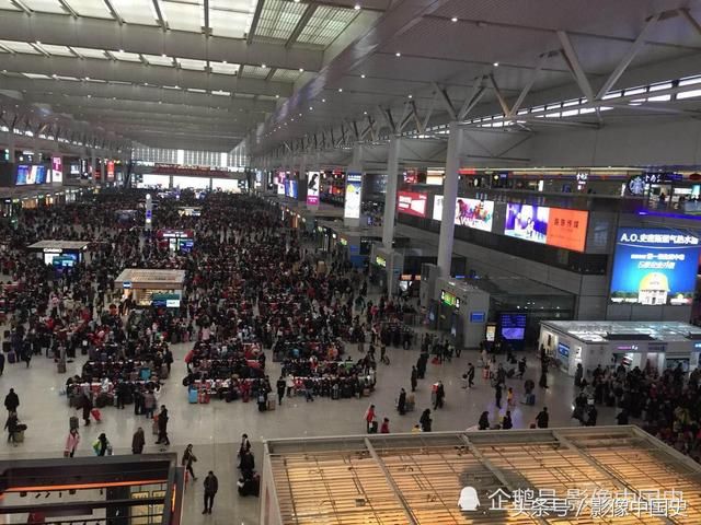 上海虹桥高铁站春运景象：千山万水挡不住游子回家过年 现场图