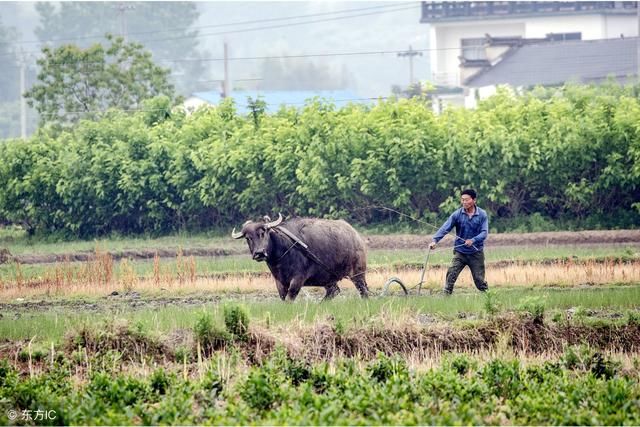 注意：农村这3类人，以后要注意了，国家将重拳出击