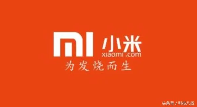 收入证明_手机销售收入(2)