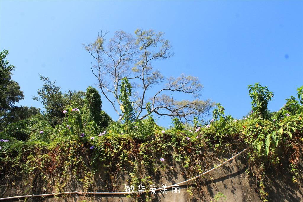 厦门市十五届人大五次会议