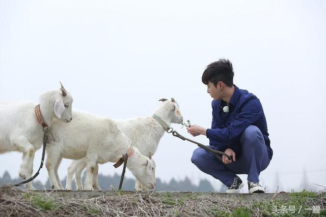 《极限挑战》第四季第一期穿越回到1978,信息