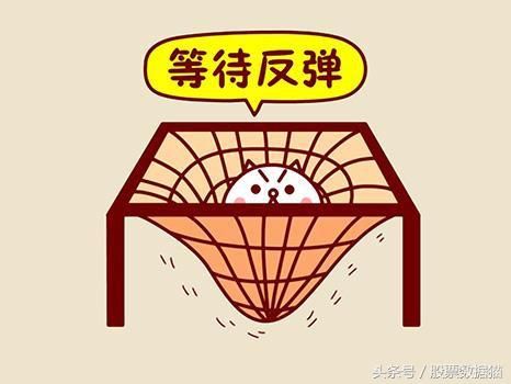 股票数据猫的战法之一追跌法一种期待跌的战法