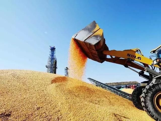 2018年粮食收储政策怎么变？