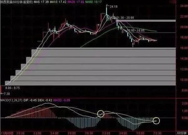 中国股市最大的“股灾”终究落下帷幕，可怜的散户该何去何从？