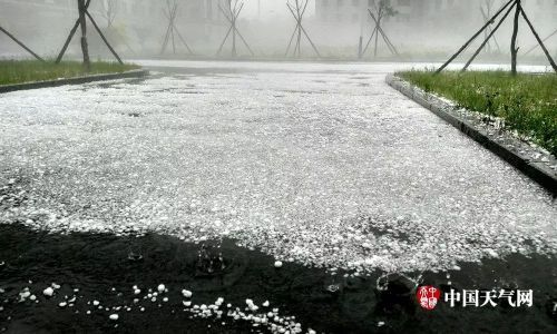 烟台、辽宁冰雹，四川阿坝降雪、降雨…今年极端天气频发，农户受