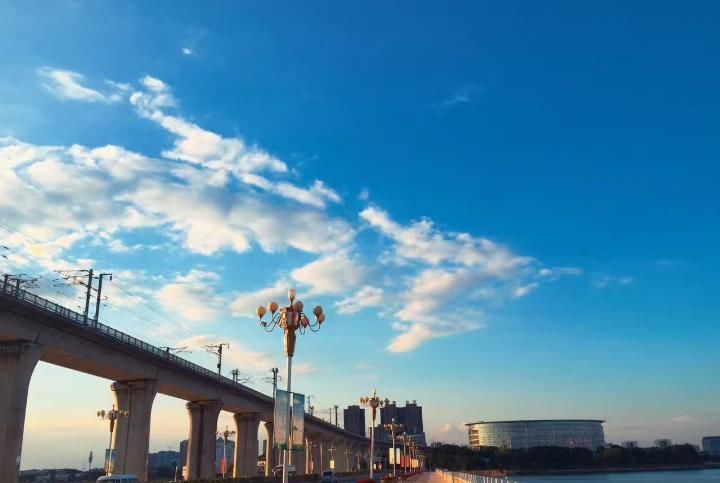 夏季的江南汤逊湖,美过武汉水境饥饿鲨礁鲨任务海螺图片