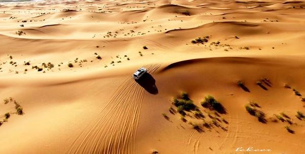 荒漠也不是荒漠了