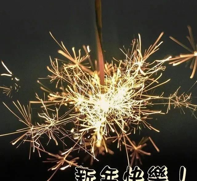 给家人的元旦祝