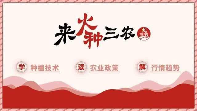 农村夫妇在家种地打工两不误，一年收入15万