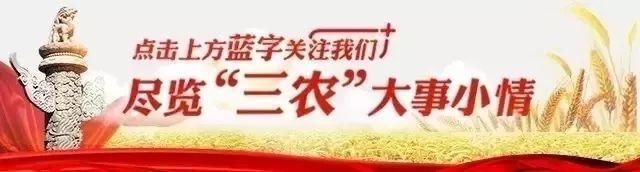 稻谷最低收购价继续调低，但中央财政补贴会拨付到各省，为啥？