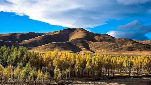 世界上海拔最高的机场在中国,有人下机就晕倒