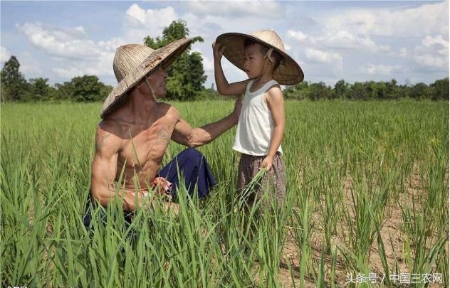 为啥南方农民比北方农民有钱呢？