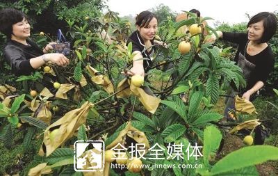 “五一”小长假 带你遇见水果味的初夏