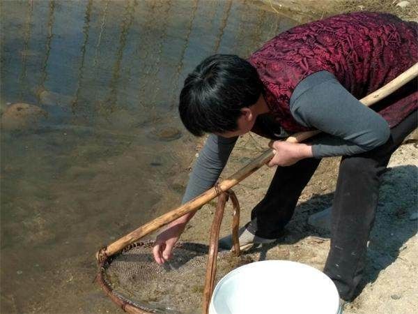 农村多年不见的野味又重现，城里根本吃不到，你还记得这种野味么