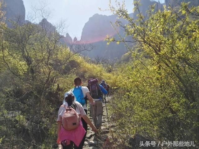 春天的太行山，连翘花儿满山坡，有一种曲径通幽之美