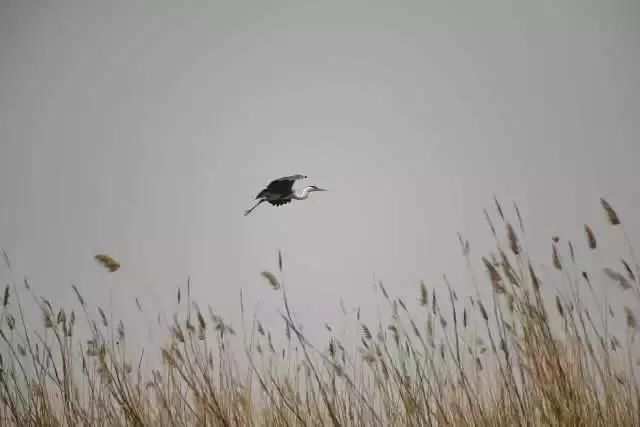 大美宁夏，火热盛夏来临，一起走进大自然~