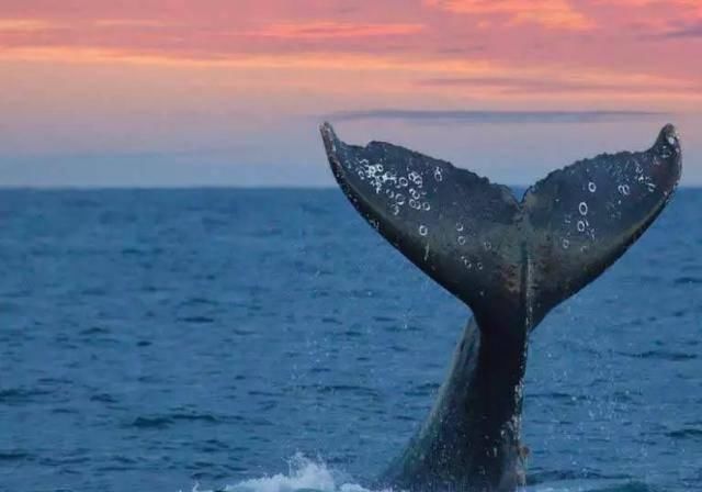 适合元旦休息发的朋友圈