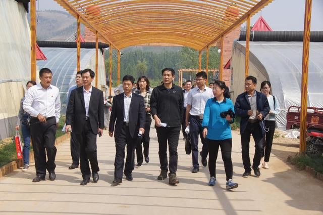 临沂市市直帮扶部门到桃墟镇调研金水河田园综