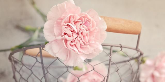 很甜很撩的句子说说大全 呆萌的一句暖心小情话