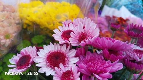 蔡司双摄挑战旗舰 诺基亚新款X7手机开箱评测