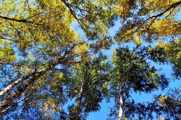 7月走进坝上、走进草原、走进盛夏的乌兰布统！