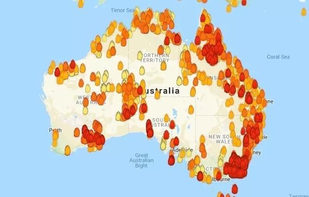 澳大利亚被烧了多少