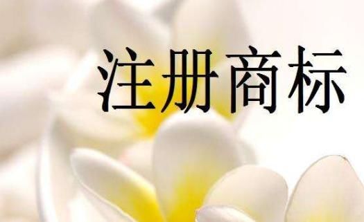 文字商标注册
