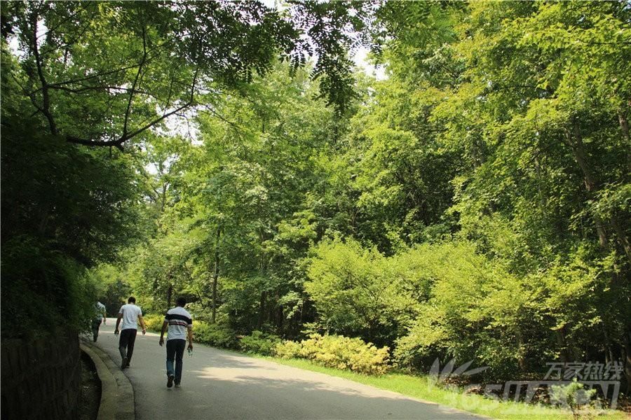 2018年母亲节合肥周边免费旅游景点推荐 适合5月游玩的八大景点推