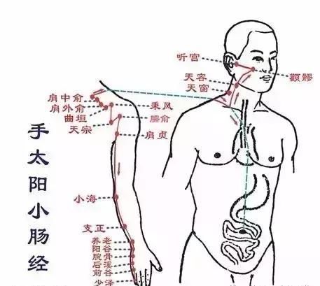 肥胖是你这里不通，瘦大腿，瘦肚子，瘦背其实并不难！