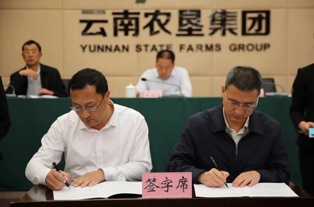 营业收入70亿元云南农垦集团实现首季开门红
