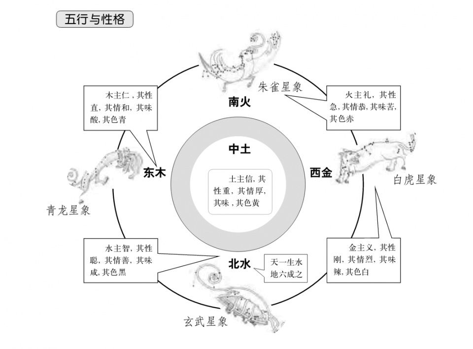 八字与人口_八字环与主线的绑法(2)