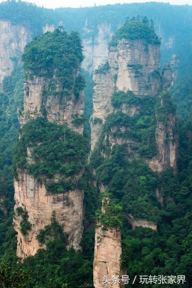 长沙到张家界森林公园二日游攻略