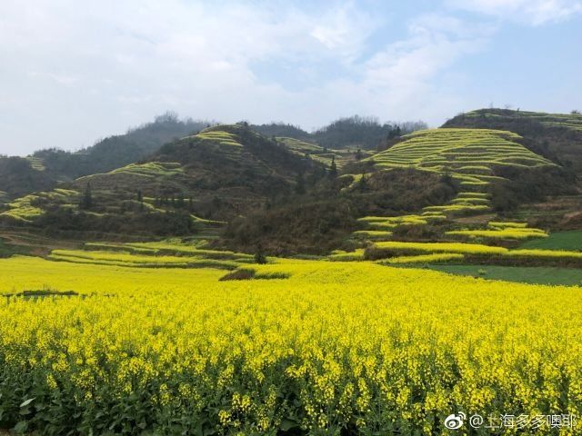 不负春光好时节，全国10大最美赏花地拿走不谢~~