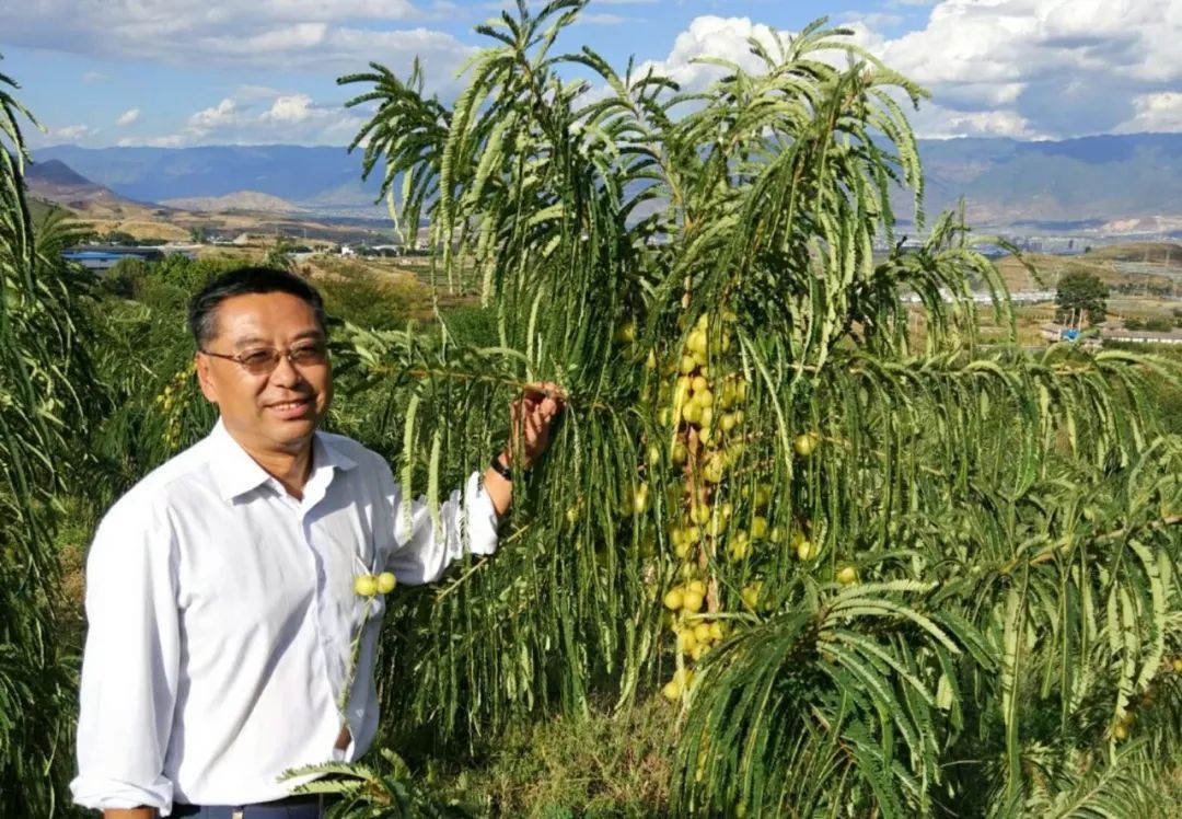 新春新生活!7个故事记录时代变迁!