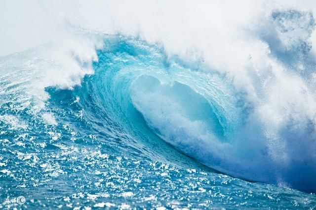 属兔人 可怕 的终生寿命,特别是87年的,翻身转